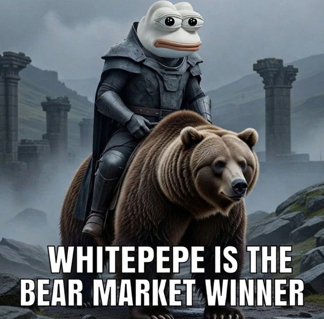 bear